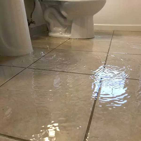 Expert Flooded Bathroom Restoration in Raleigh, NC 