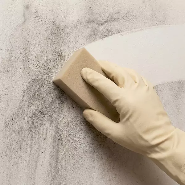 Smoke Cleaning in Raleigh, NC 