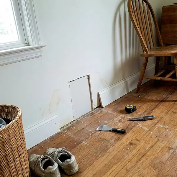 Expert Water Damage Repair in Raleigh, NC 