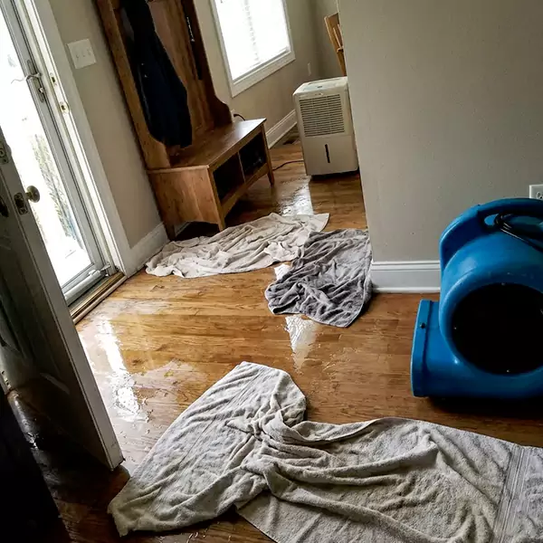 Water Mitigation in Raleigh, NC