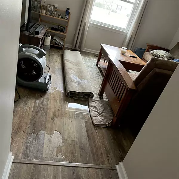 Water Restoration in Raleigh, NC