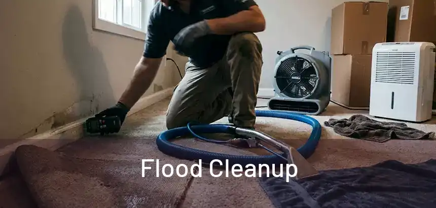  Flood Cleanup 