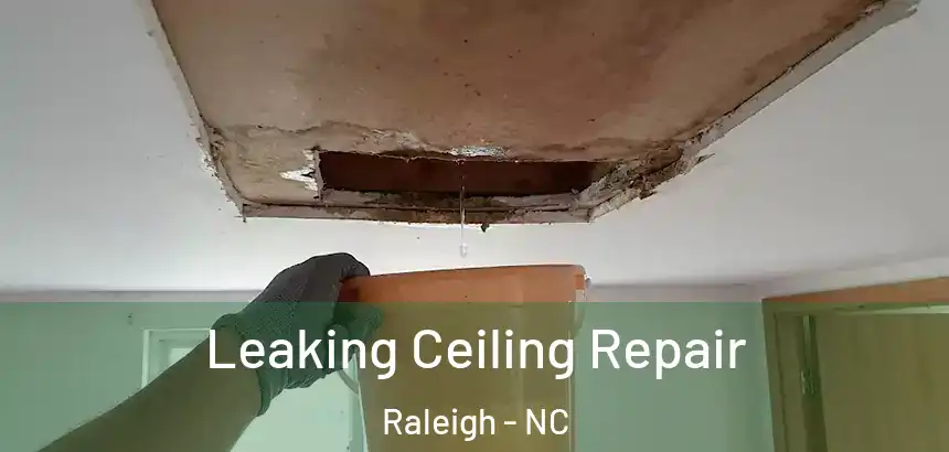  Leaking Ceiling Repair Raleigh - NC