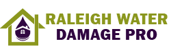 Raleigh Water Damage Pro