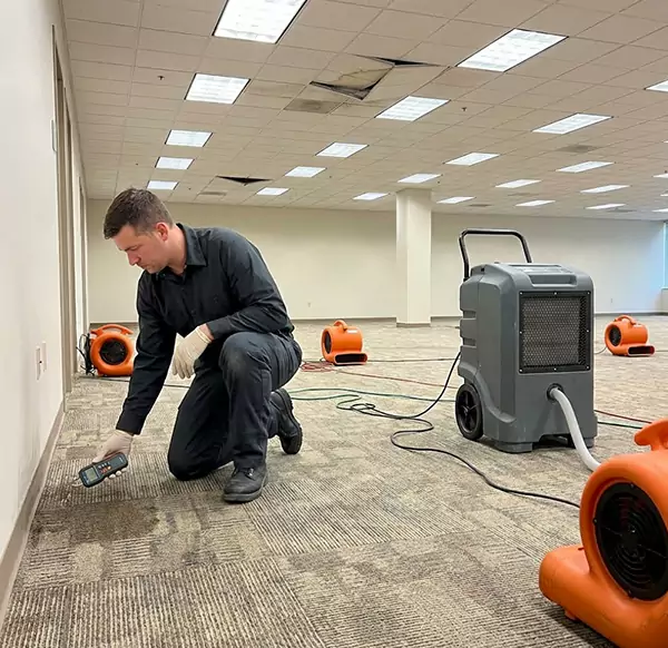 Why Businesses Choose Raleigh Water Damage Pro for Commercial Water Damage in Raleigh, NC?