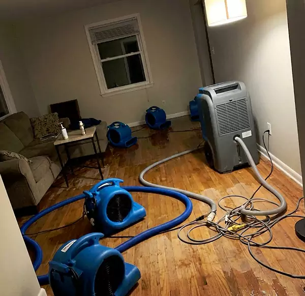 Why Homeowners & Businesses Choose Raleigh Water Damage Pro for Emergency Water Restoration in Raleigh, NC?