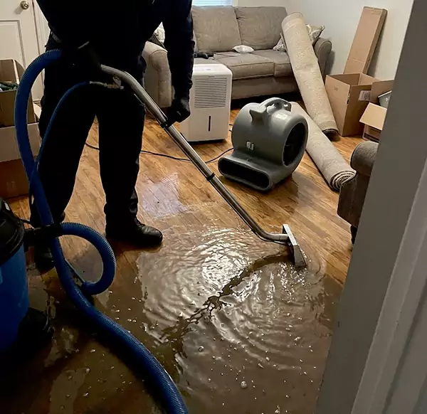 Why Homeowners & Businesses Choose Raleigh Water Damage Pro for Flood Cleanup in Raleigh, NC?